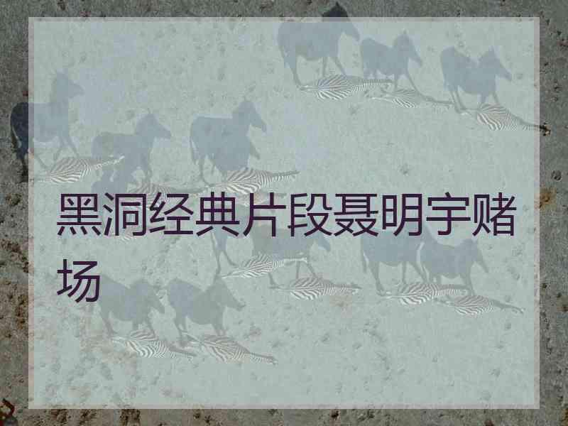 黑洞经典片段聂明宇赌场
