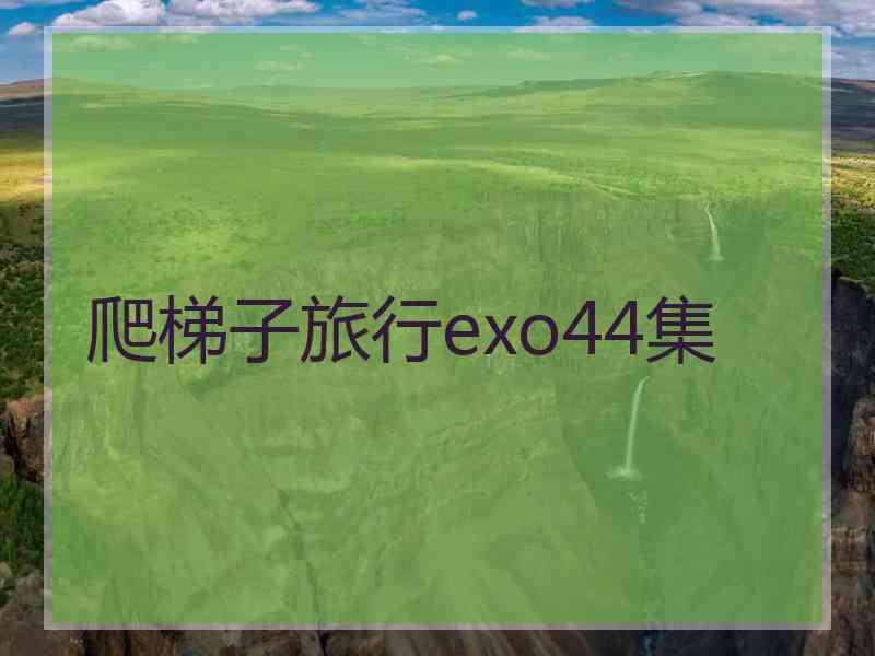 爬梯子旅行exo44集