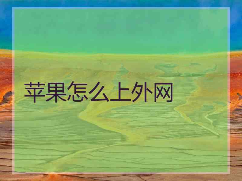 苹果怎么上外网