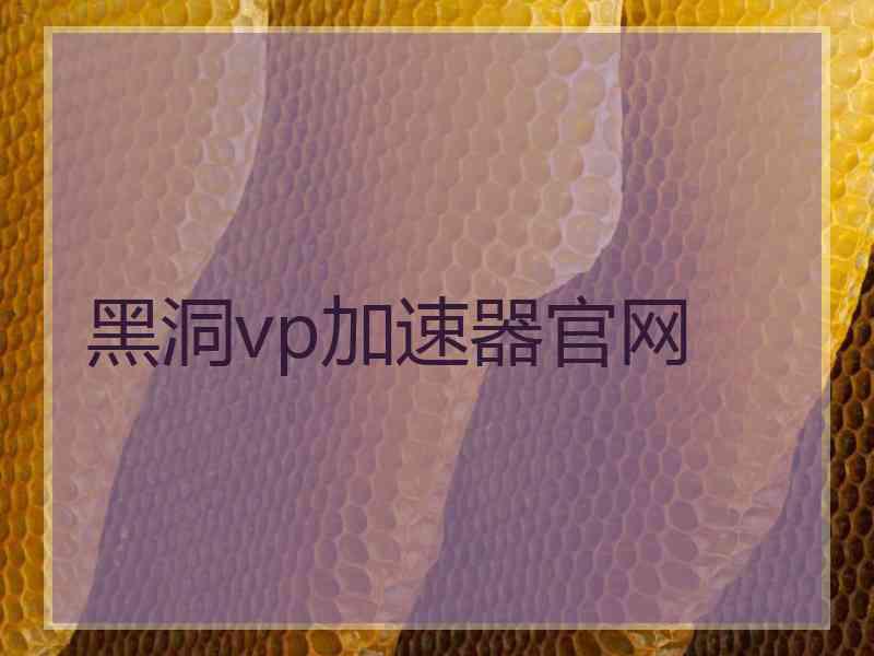 黑洞vp加速器官网