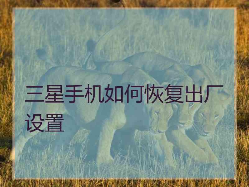 三星手机如何恢复出厂设置