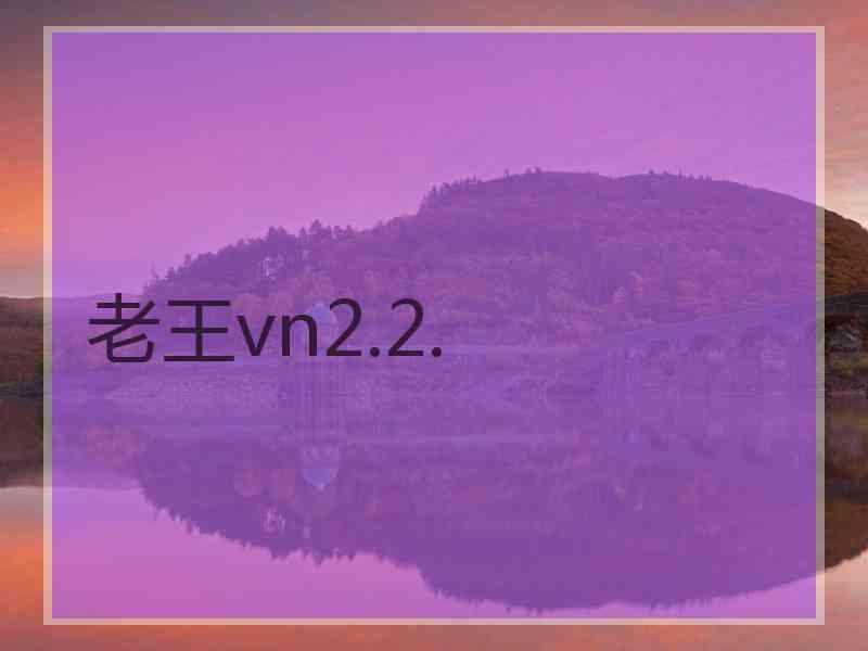 老王vn2.2.