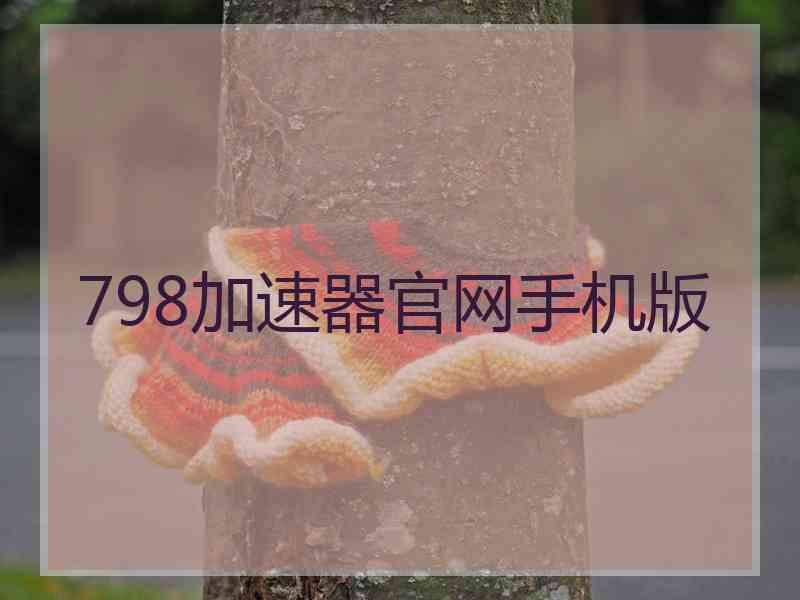 798加速器官网手机版
