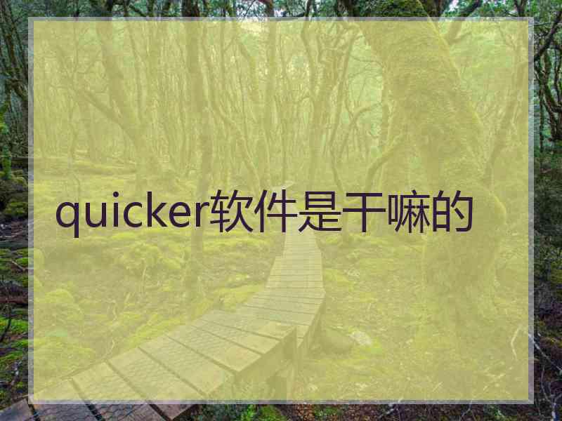 quicker软件是干嘛的