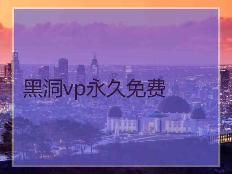 黑洞vp永久免费