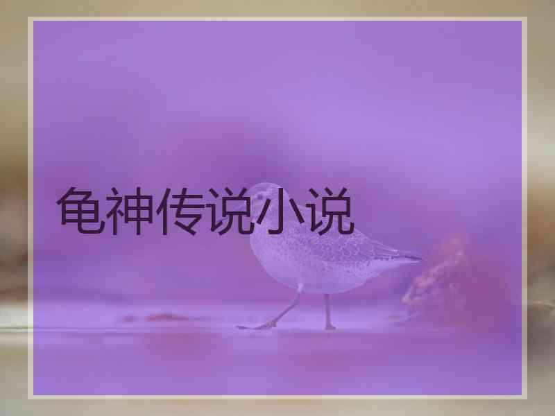 龟神传说小说