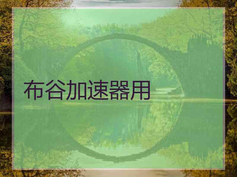 布谷加速器用