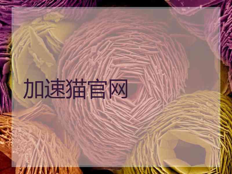 加速猫官网