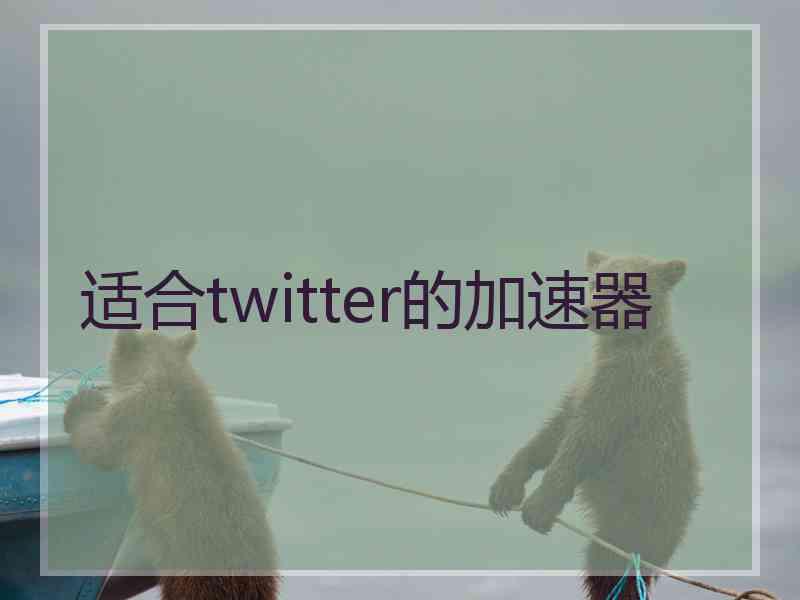 适合twitter的加速器