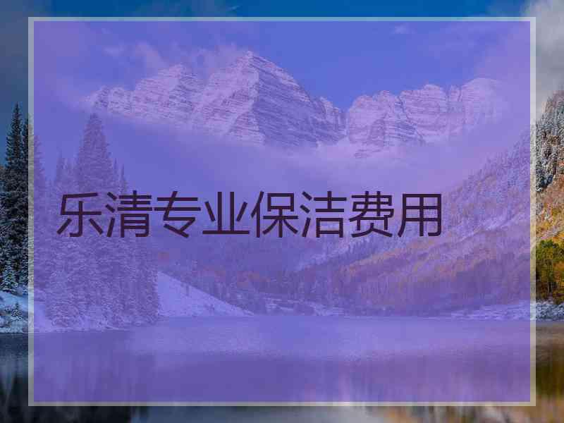 乐清专业保洁费用