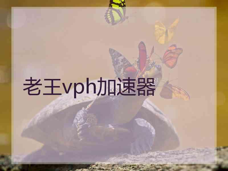 老王vph加速器