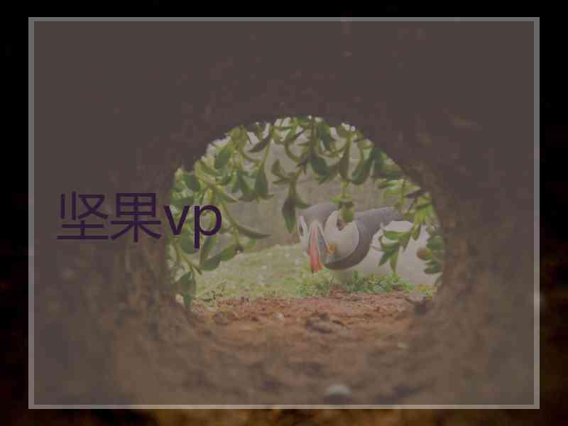 坚果vp