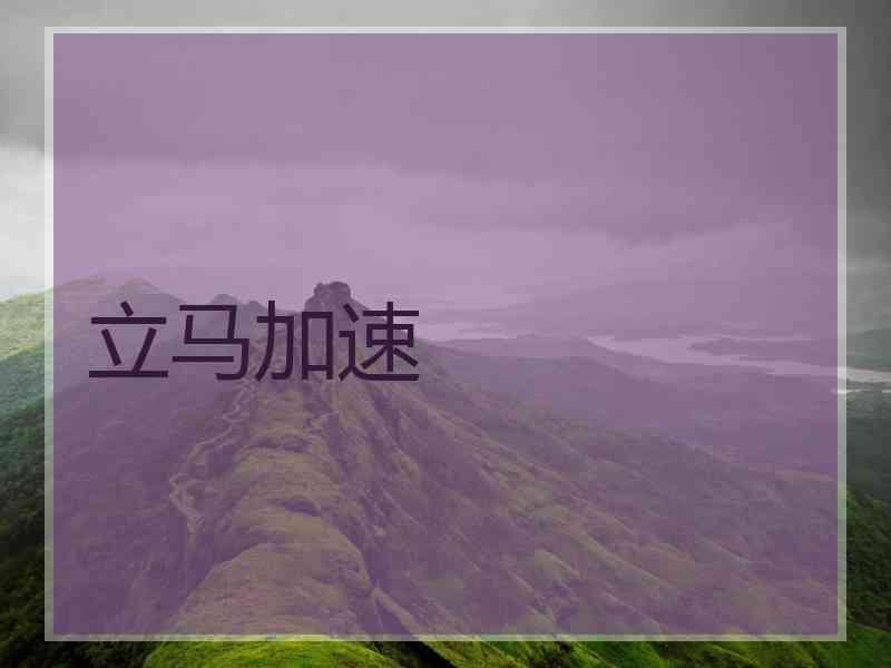 立马加速
