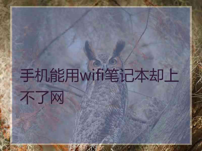 手机能用wifi笔记本却上不了网