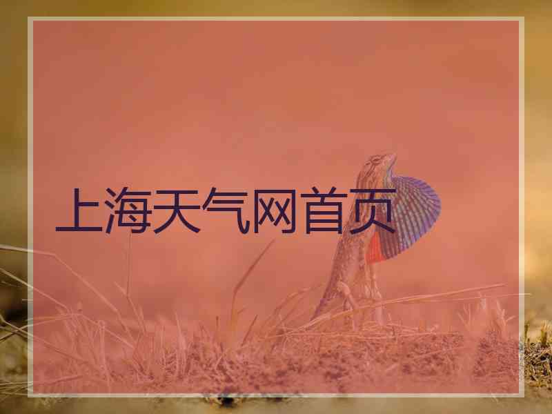 上海天气网首页