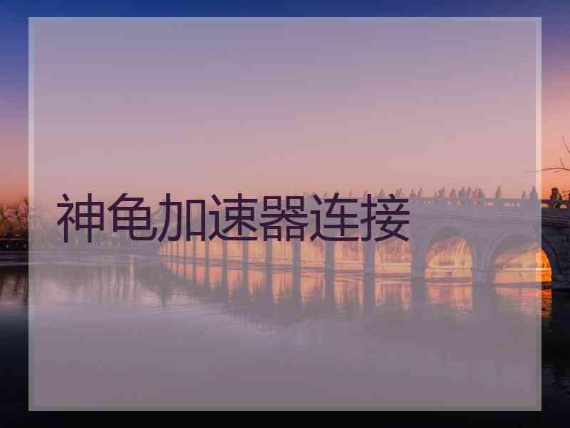 神龟加速器连接