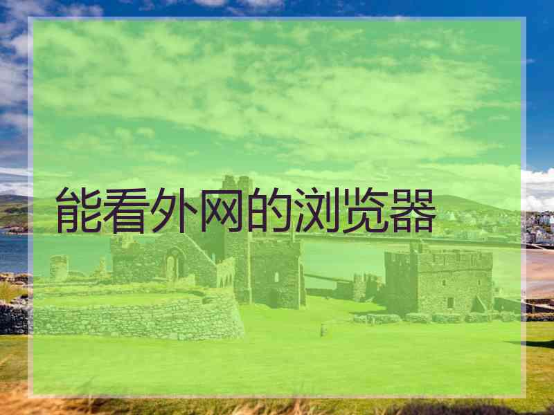 能看外网的浏览器