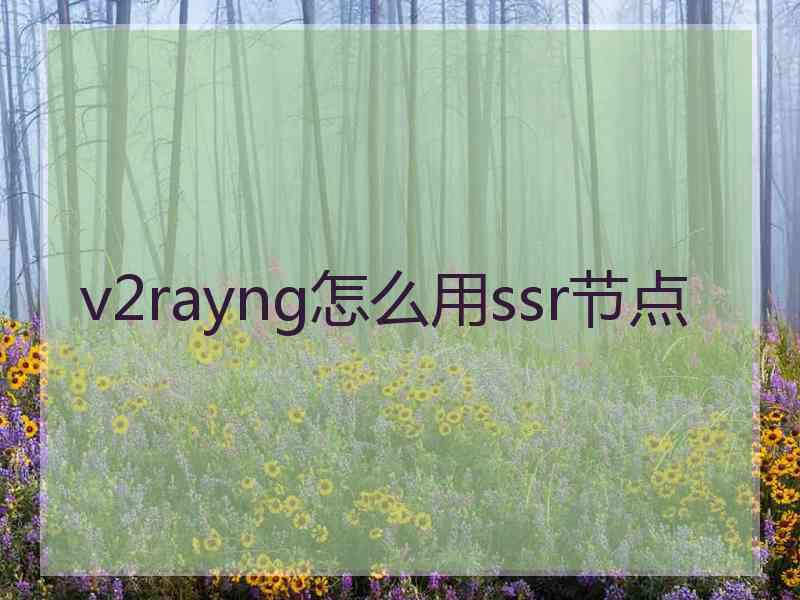 v2rayng怎么用ssr节点