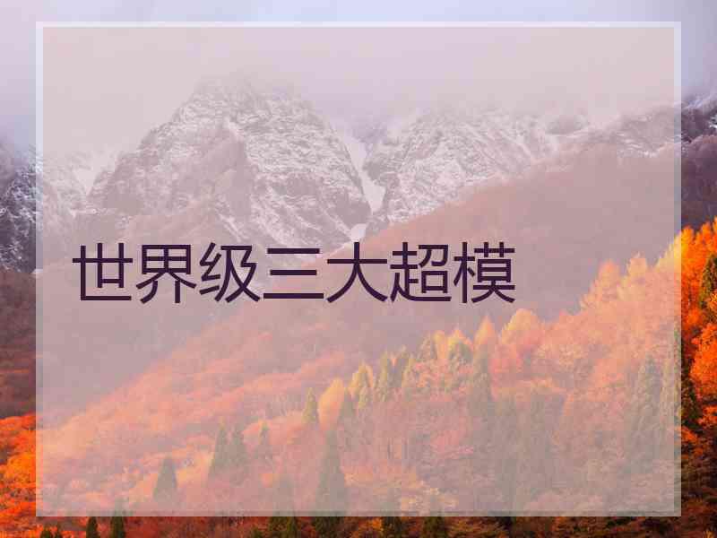 世界级三大超模