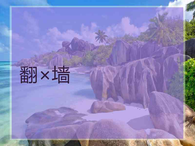 翻×墙