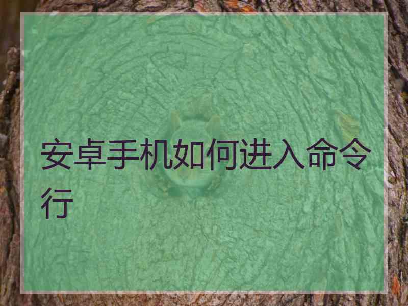 安卓手机如何进入命令行