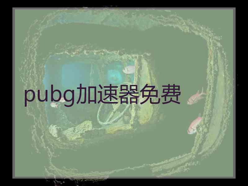 pubg加速器免费