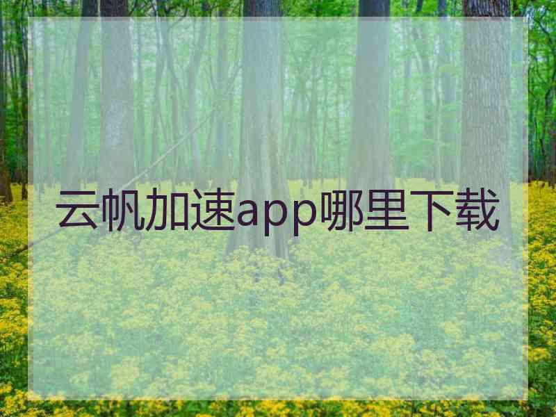 云帆加速app哪里下载