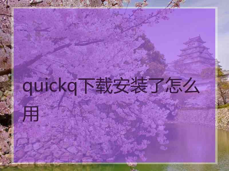 quickq下载安装了怎么用
