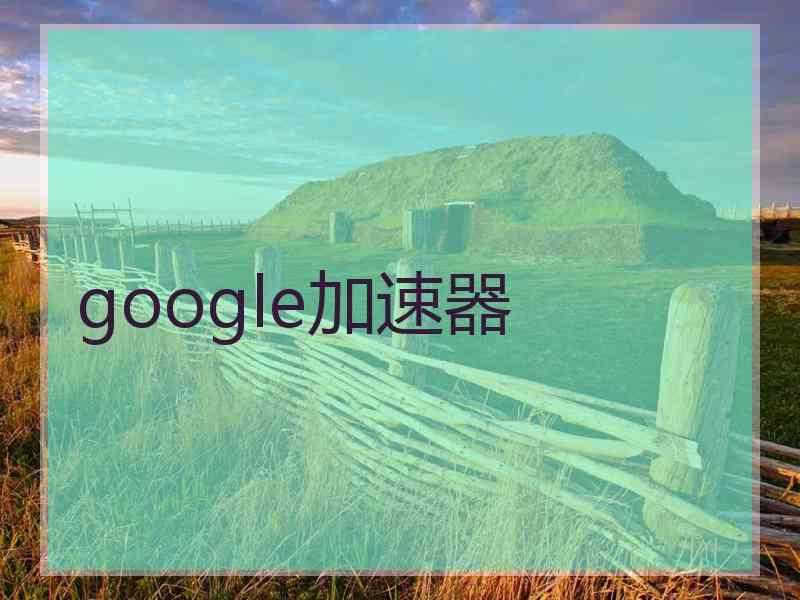 google加速器
