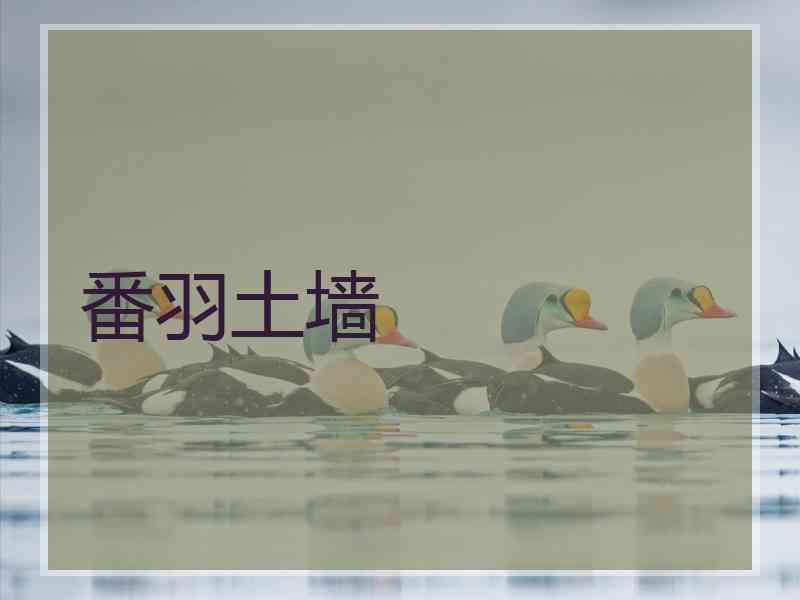 番羽土墙