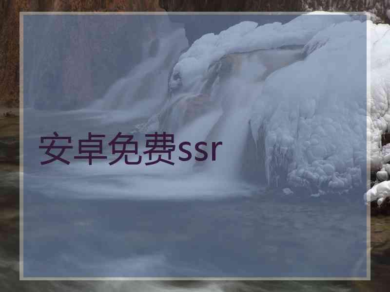 安卓免费ssr