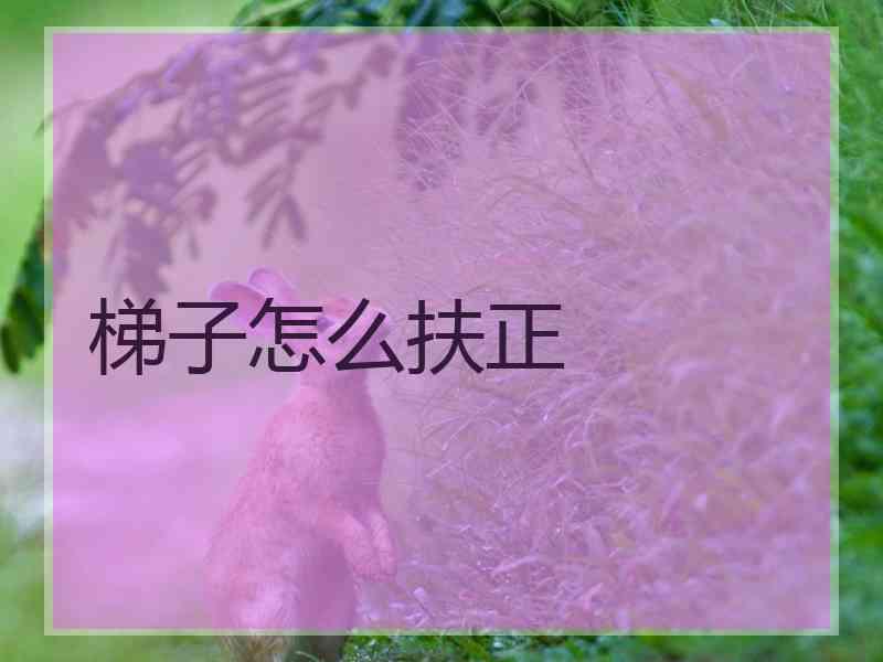 梯子怎么扶正
