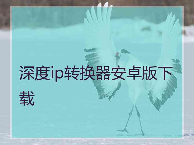深度ip转换器安卓版下载