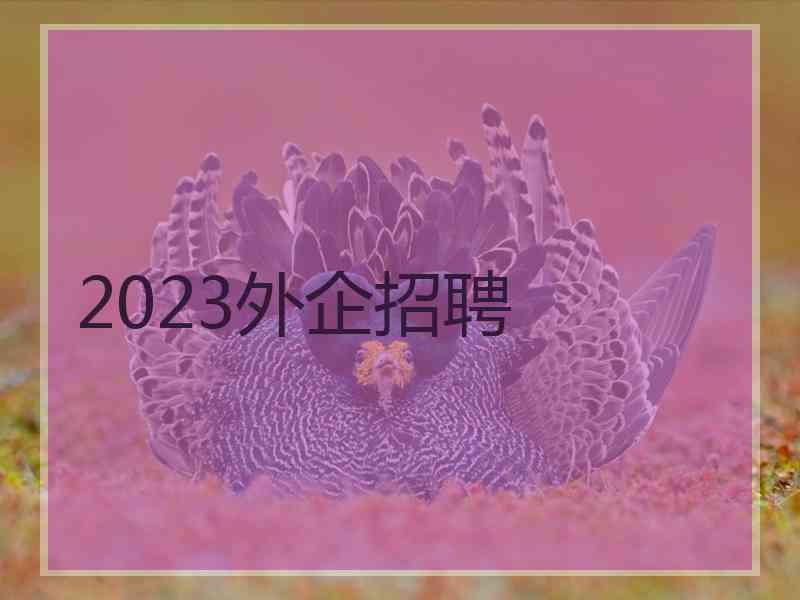 2023外企招聘