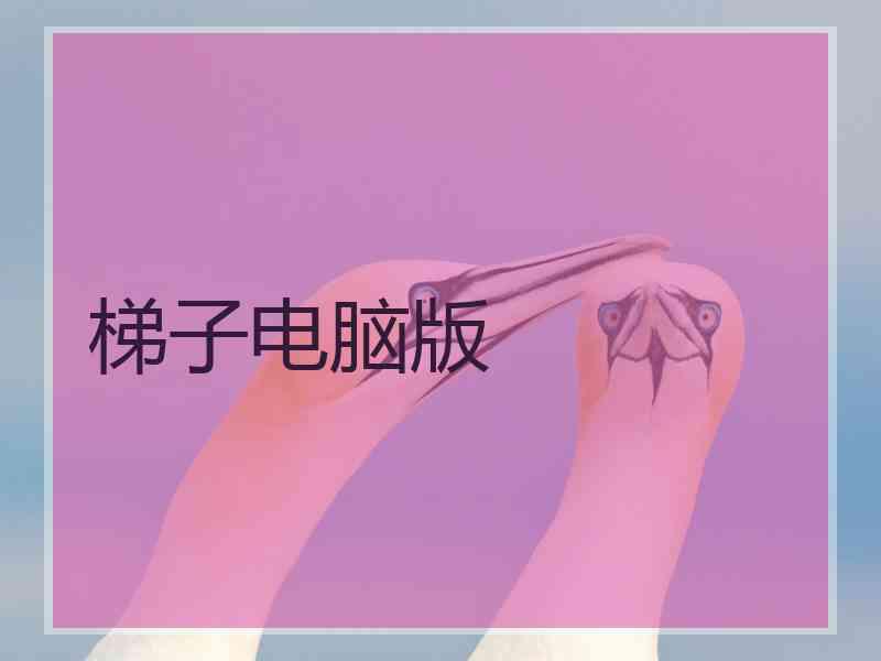 梯子电脑版