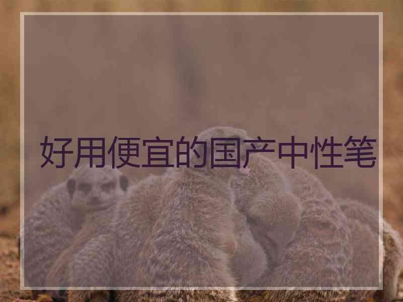 好用便宜的国产中性笔
