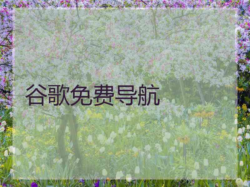 谷歌免费导航