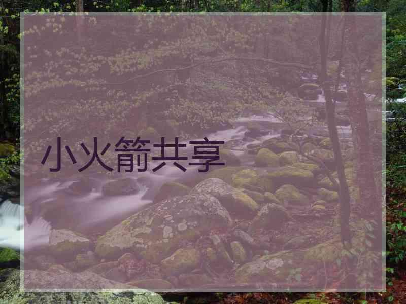 小火箭共享
