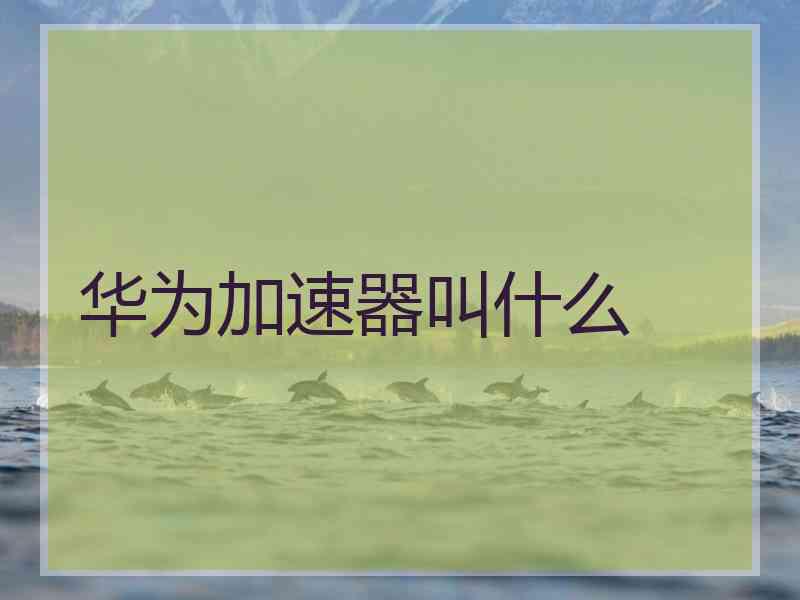 华为加速器叫什么