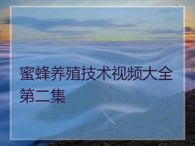 蜜蜂养殖技术视频大全第二集