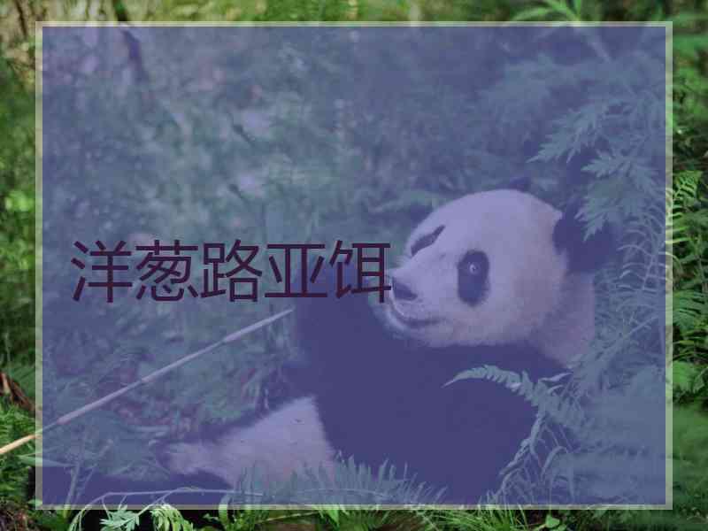 洋葱路亚饵
