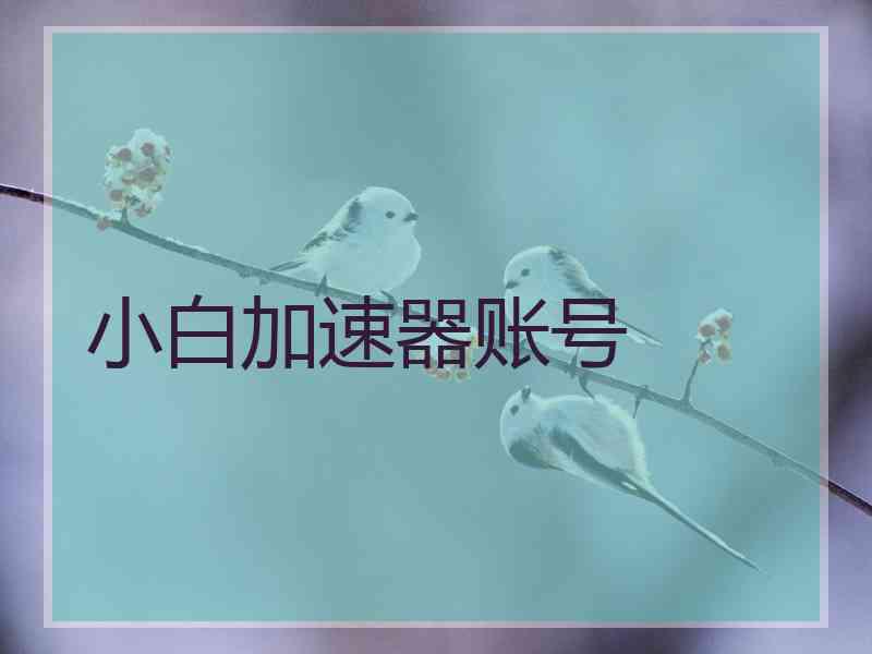 小白加速器账号