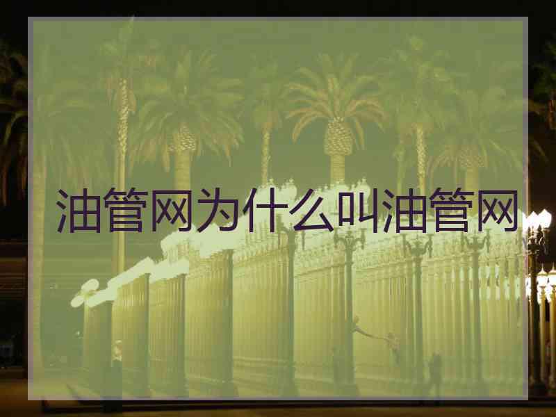 油管网为什么叫油管网