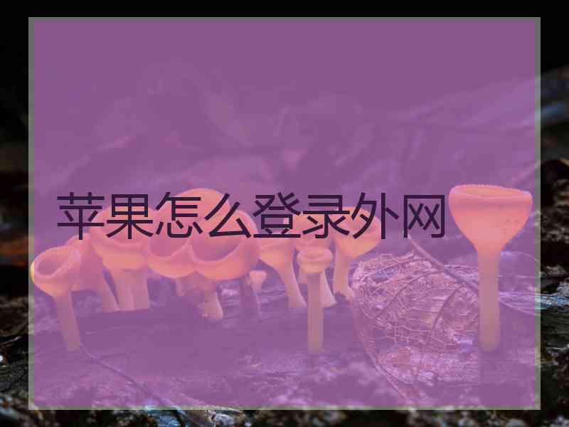 苹果怎么登录外网