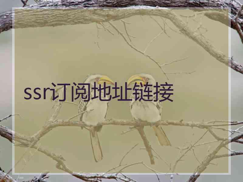 ssr订阅地址链接