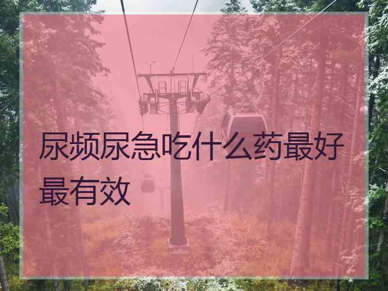 尿频尿急吃什么药最好最有效