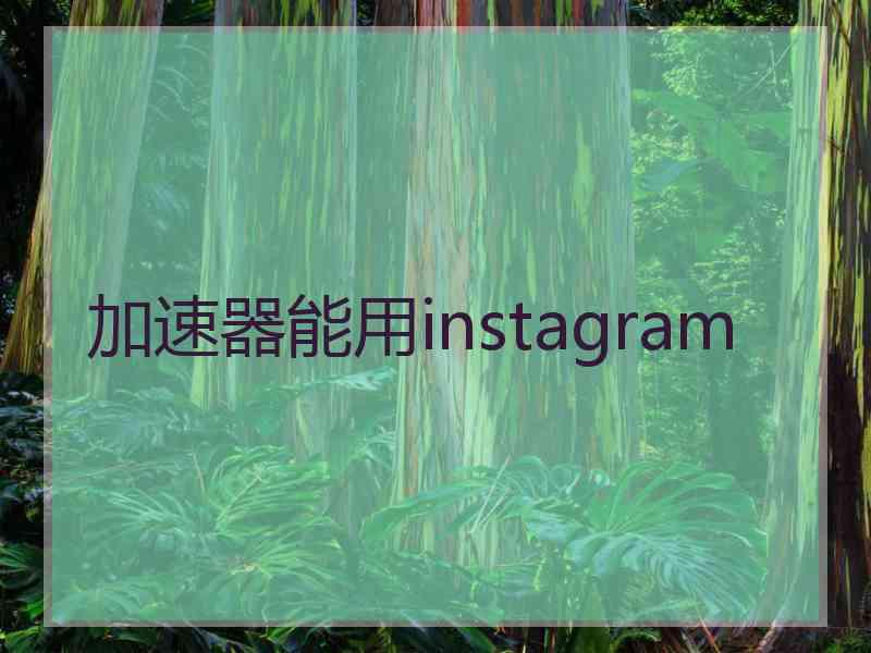 加速器能用instagram