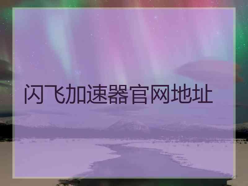 闪飞加速器官网地址