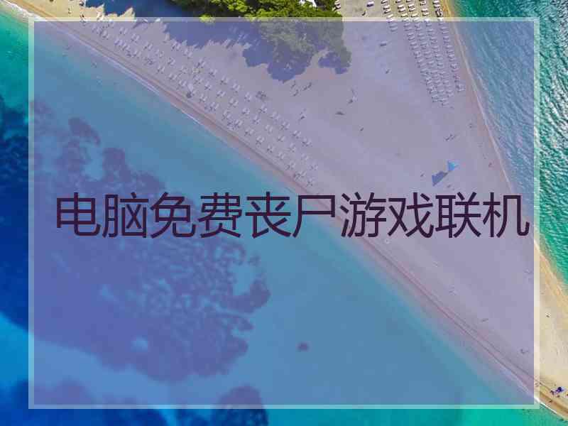 电脑免费丧尸游戏联机