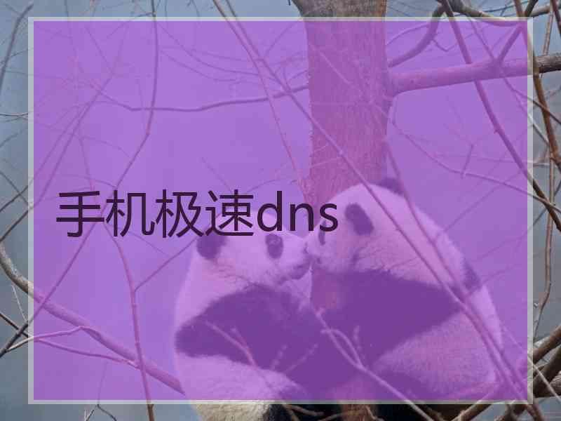 手机极速dns